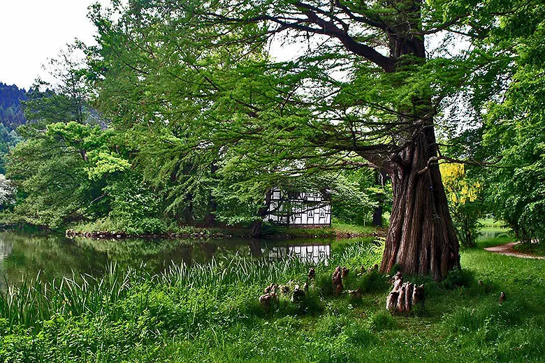 Greizer Park